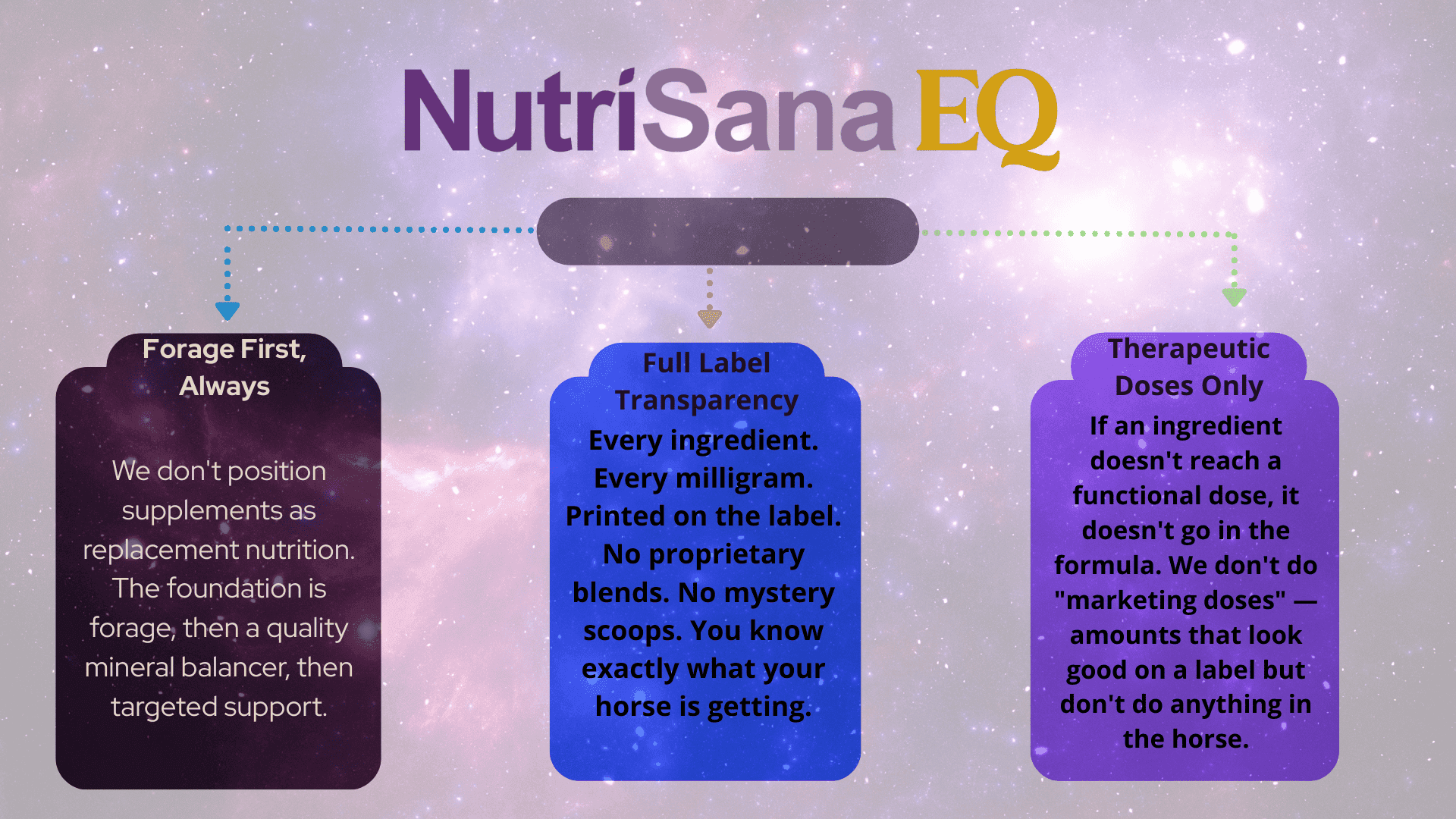 NutriSana EQ was created by two equine professionals who were tired of the noise in the supplement industry. We built this company in the arena, in the barn, and in the messy middle of keeping performance horses sound and consistent.We're not here to sell you a cupboard full of random scoops. We're here to offer one well-thought-out support formula that fits where your horse is in their workload and life stage. Less noise. More intention. Horse-first decisions.That's the whole point of NutriSana EQ.